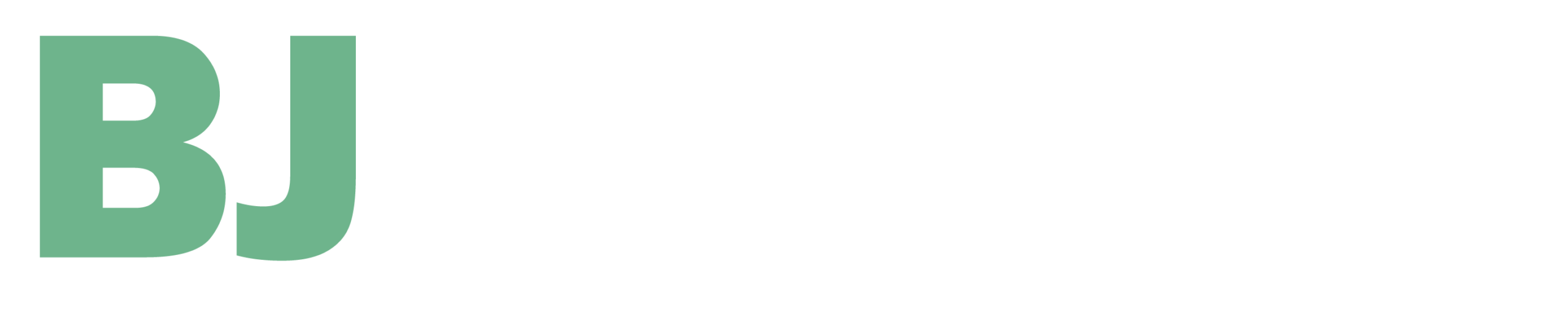 Footer Logo